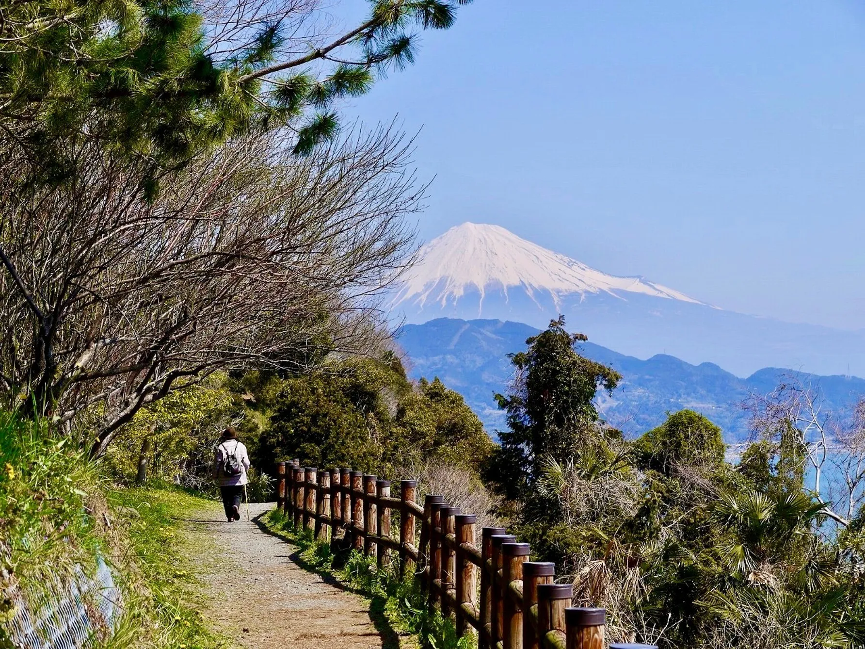 由比宿 - 富士山絶景