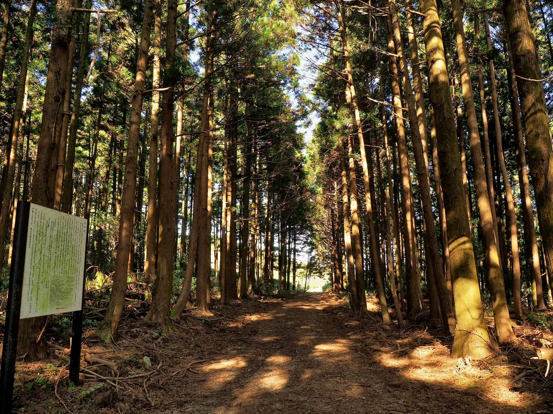 東海道本線の開通